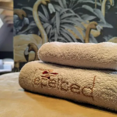 Lepelbed فندق